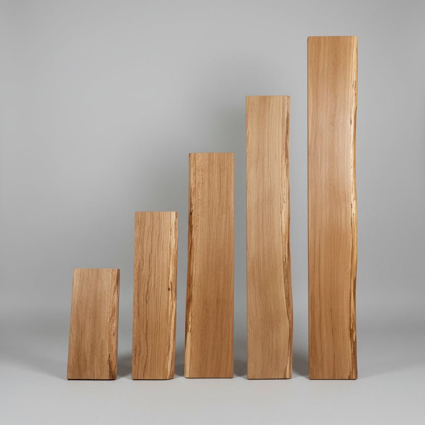 Holzbohlen Eichenholz unterschiedliche Größen